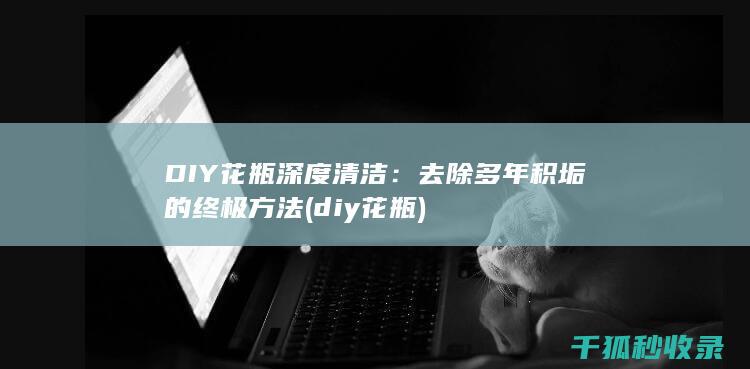 DIY花瓶深度清洁：去除多年积垢的终极方法 (diy 花瓶)