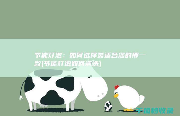 节能灯泡：如何选择最适合您的那一款 (节能灯泡如何清洗)