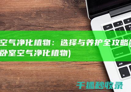 空气净化植物：选择与养护全攻略 (卧室空气净化植物)