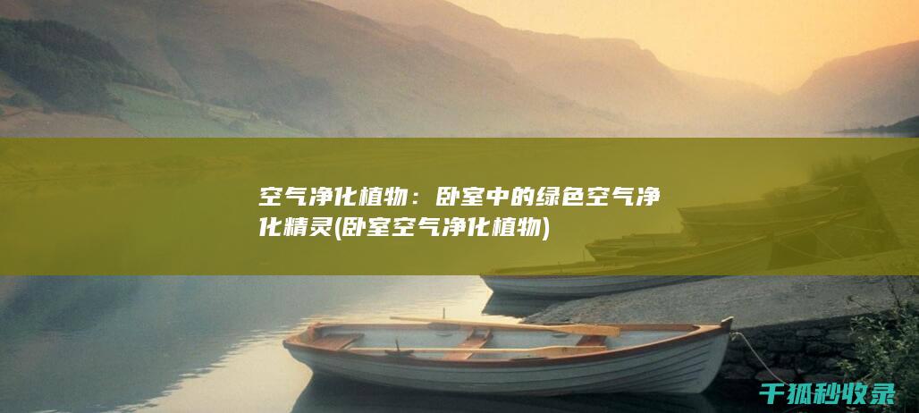 空气净化植物：卧室中的绿色空气净化精灵 (卧室空气净化植物)