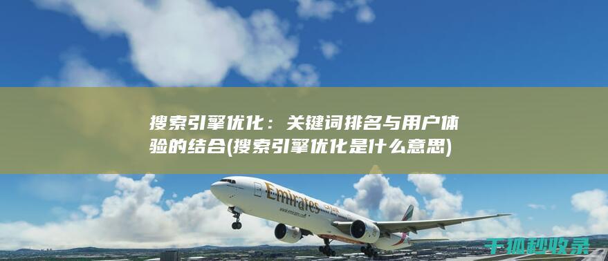 搜索引擎优化：关键词排名与用户体验的结合 (搜索引擎优化是什么意思)