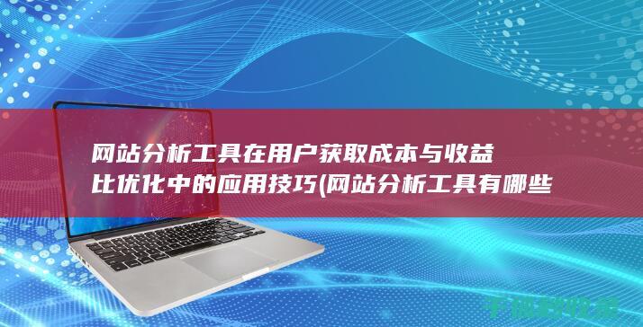 网站分析工具在用户获取成本与收益比优化中的应用技巧 (网站分析工具有哪些)