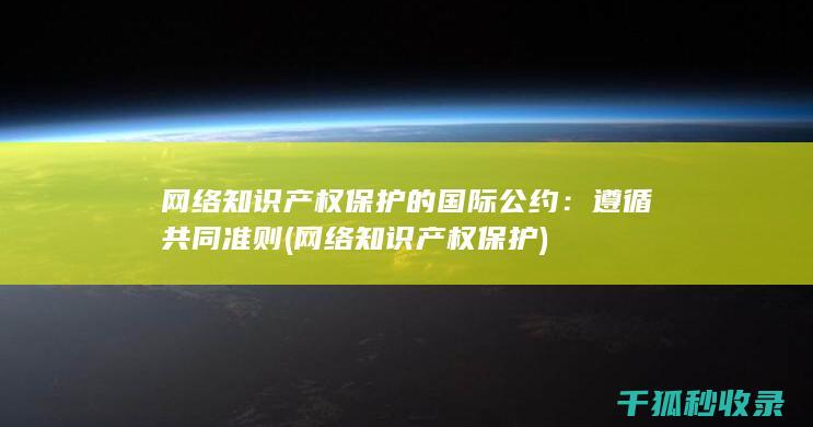 网络知识产权保护的国际公约：遵循共同准则 (网络知识产权保护)