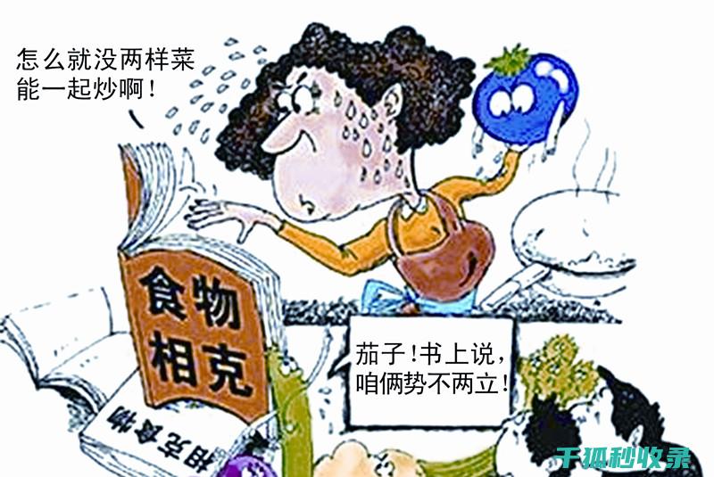食物相克小常识：健康饮食的必修课 (食物相克小常识大全)