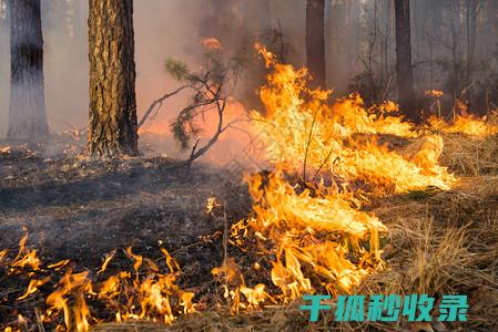 火灾防范：灭火器使用方法，关键时刻的救命技能 (火灾及灭火方法)