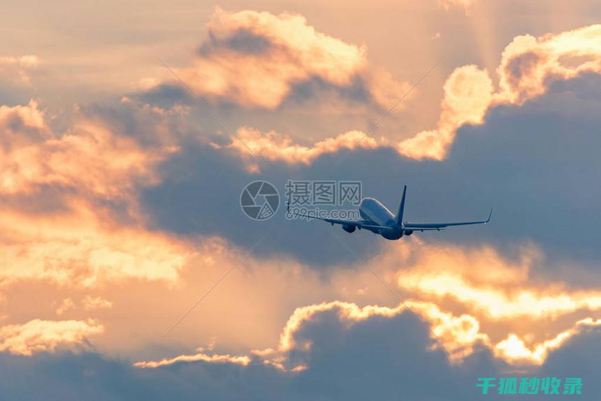 高空中的飞行表演：蓝天上的视觉盛宴 (高空中的飞行员)