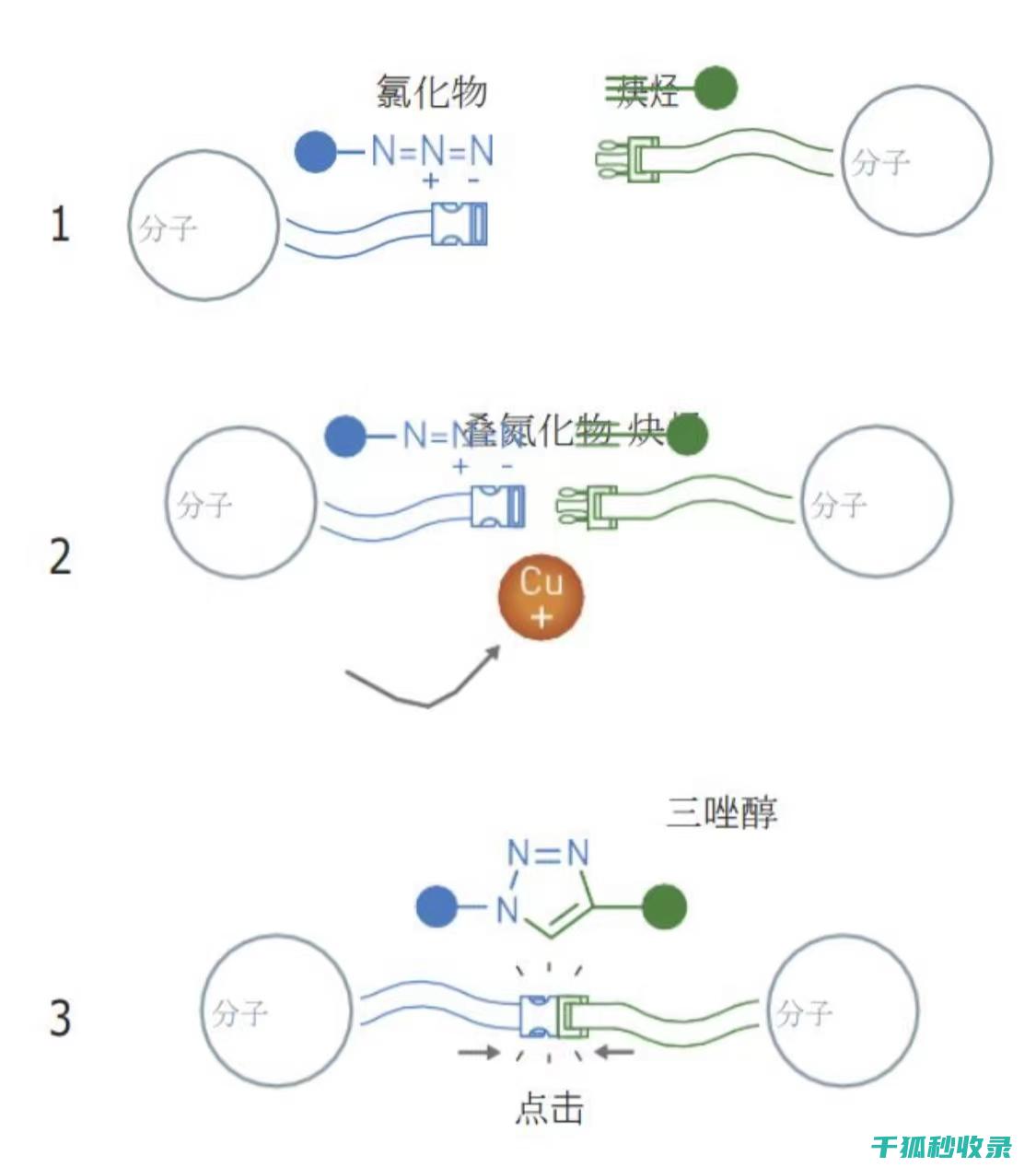 化学品存放规范：从规范入手，守护储存安全 (化学品存放规范最新版)