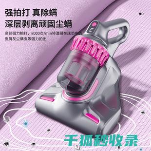 地毯除螨全记录：从发现到解决的全过程 (地毯除螨用什么药)