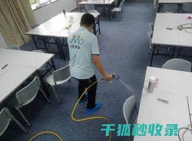 地毯除螨大法 | 让你不再为螨虫烦恼 (地毯除螨用什么药)