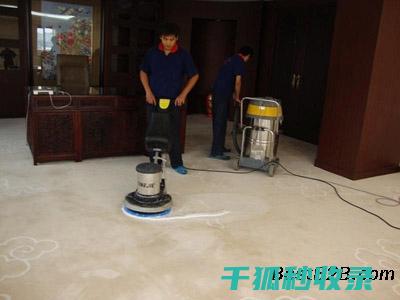 地毯除螨大比拼：谁才是最有效的 (地毯除螨用什么药)