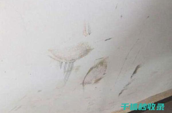 墙面污渍处理：使用面粉清洁墙面的奇特效果 (墙面污渍处理方法)