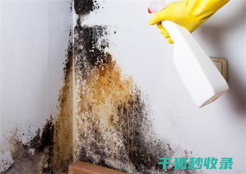 墙面污渍处理：使用西瓜汁清洁墙面的独特功效 (墙面污渍处理方法)
