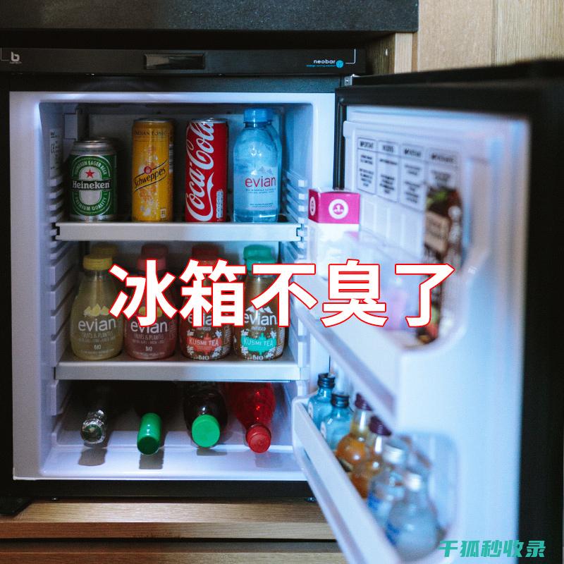 冰箱除味全解析：掌握这些技巧让冰箱气味焕然一新 (冰箱除味全解方法)