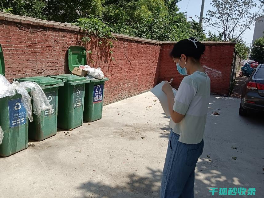 深入探究垃圾分类标准：构建绿色生活的新典范 (深入探究垃圾分类)
