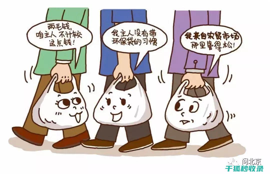 减少塑料使用：用行动书写环保新篇章 (减少塑料使用的措施)