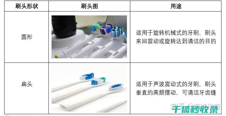 牙刷更换周期多久