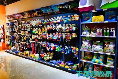 应季宠物用品：秋季宠物用品选购指南 (宠物用品淡季)