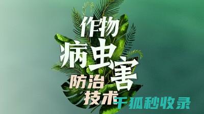 植物病虫害防治：如何制定长期有效的防治计划 (植物病虫害防治)