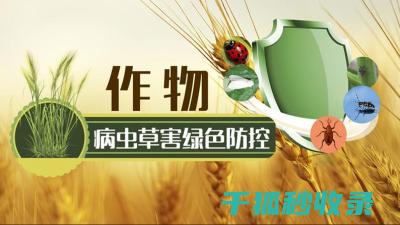 植物病虫害防治：植物抗性与病虫害防治的关联 (植物病虫害防治)