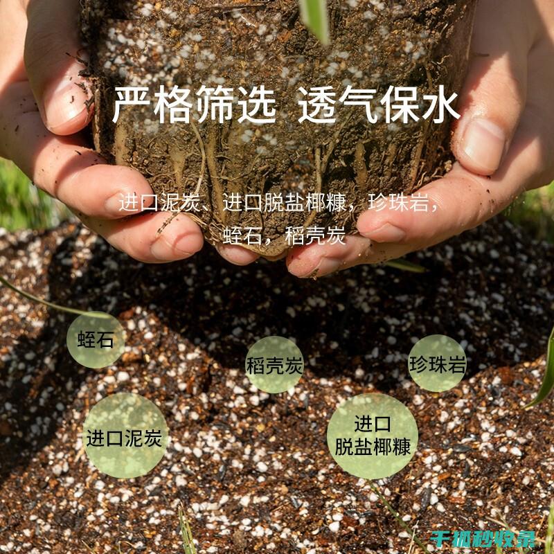 盆栽土壤配比：为观叶植物量身定制的配方 (盆栽土壤配比方法)