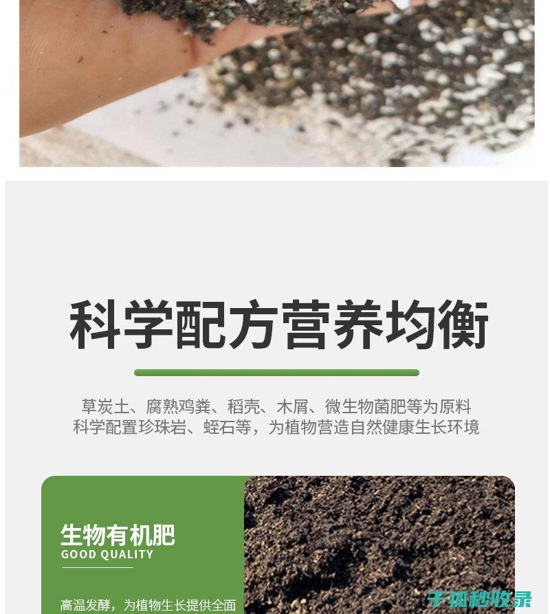 适合不同排水需求植物的配方指南