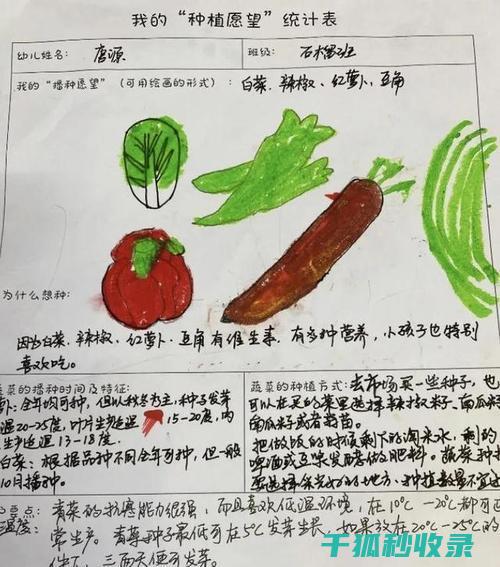 盆栽土壤配比：适合不同有机物需求植物的配方要点 (盆栽土壤配比方法)