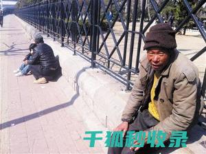 流浪动物救助：每一只生命都值得被接纳 (流浪动物救助中心)