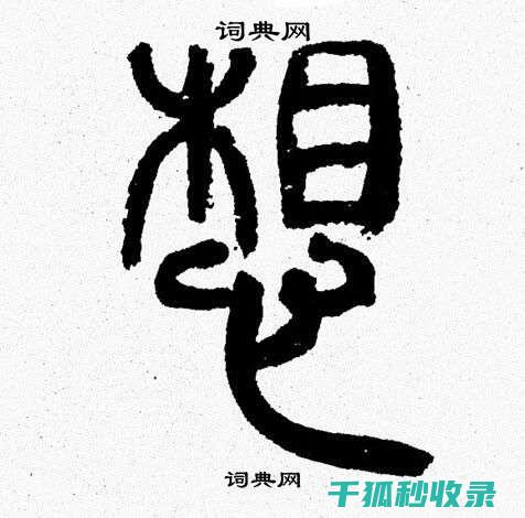 想要快速去除口香糖？试试这些简单方法 (想要快速去除甲醛)