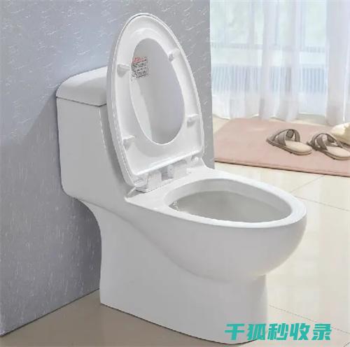 马桶清洁消毒：科学方法确保长久卫生 (马桶清洁消毒步骤)