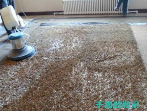 地毯污渍去除全清单：必备清洁用品和工具推荐 (地毯污渍去除小妙招)