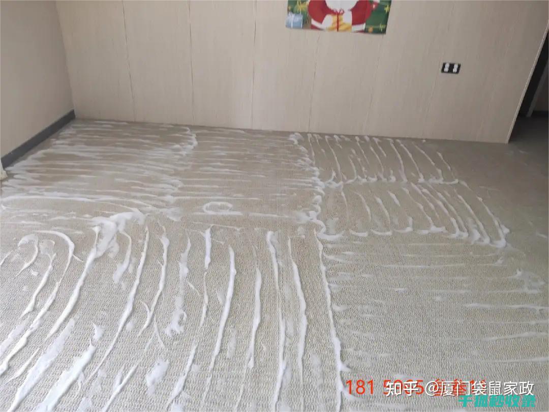 地毯污渍去除全解析：从原理到实践的深度解读 (地毯污渍去除小妙招)