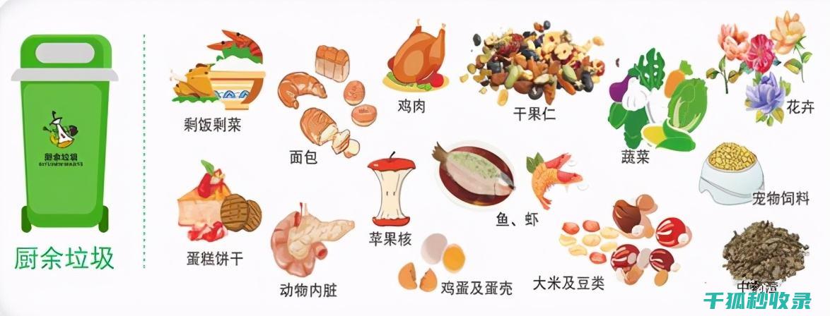 厨余垃圾除味：轻松摆脱厨房异味困扰的妙方 (厨余垃圾除味剂有哪些)