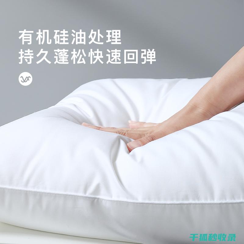 枕头除螨新发现：新型除螨产品评测 (除螨虫枕头)