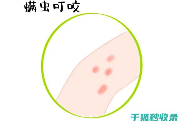 这些超管用