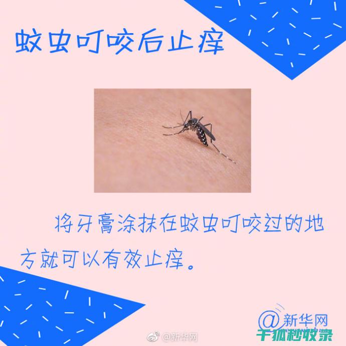 牙膏的隐藏技能：让你的生活更加便捷 (牙膏的隐藏技巧有哪些)