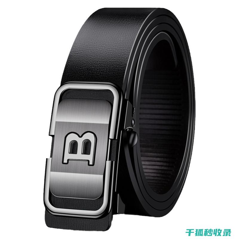 皮带收纳架：打造整齐有序的个人空间 (皮带收纳架)