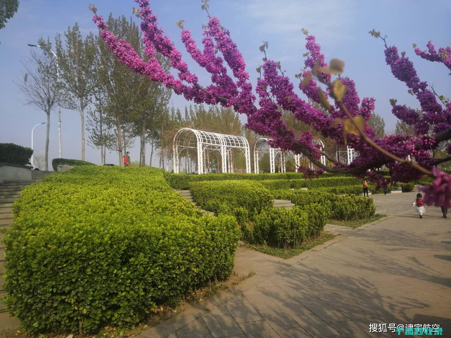 从忙碌家务到轻松享受：扫地机器人的智能清洁方案 (忙碌的家务)