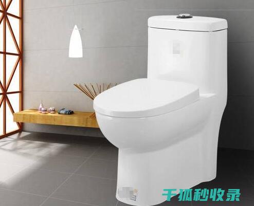 如何清洁马桶水箱：深层清洁与维护技巧 (如何清洁马桶底部尿碱污垢)