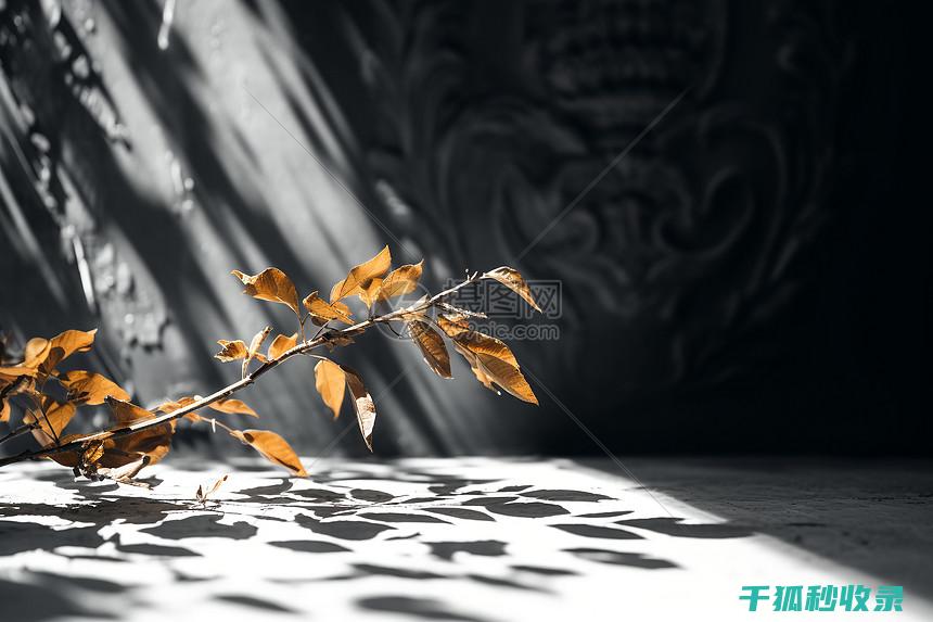 植物叶片光亮：叶绿素与反射光的奇妙结合 (植物叶片光亮剂配方)