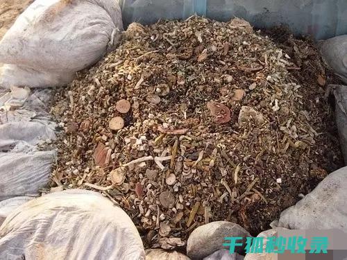 DIY花肥：用简单的材料培育美丽的花卉的秘诀 (自做花肥)