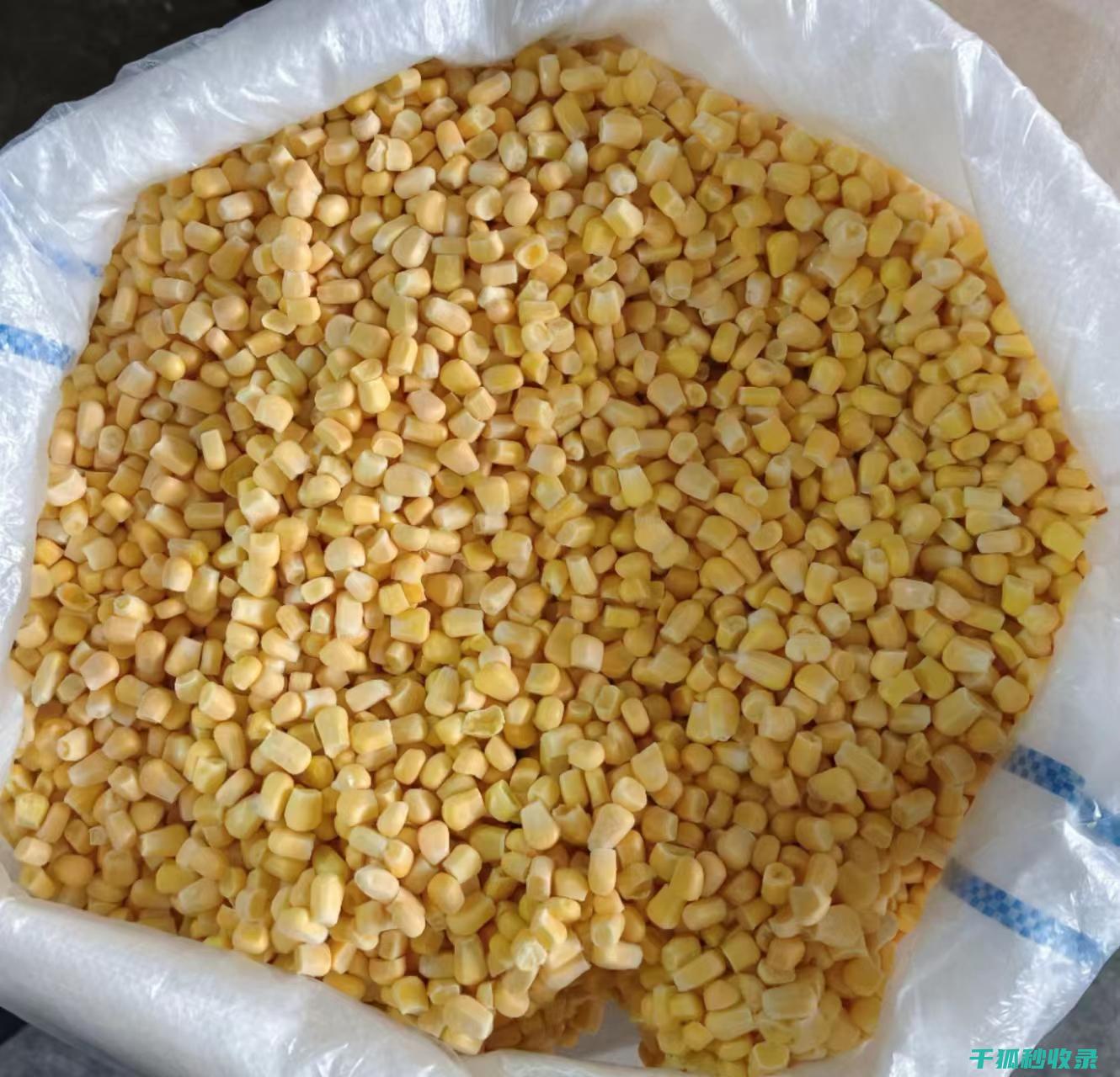 蔬菜快速解冻妙招：冷水冲洗法 (蔬菜快速解冻汁液流失率一般为多少)