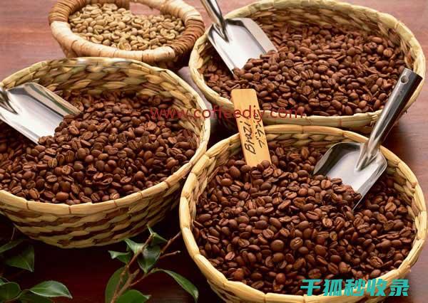 咖啡豆保存技巧：避免常见误区，提升咖啡品质 (咖啡豆保存技巧和方法)