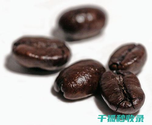 咖啡豆保存全解析：从环境到工具的全面指导 (咖啡豆 保存)