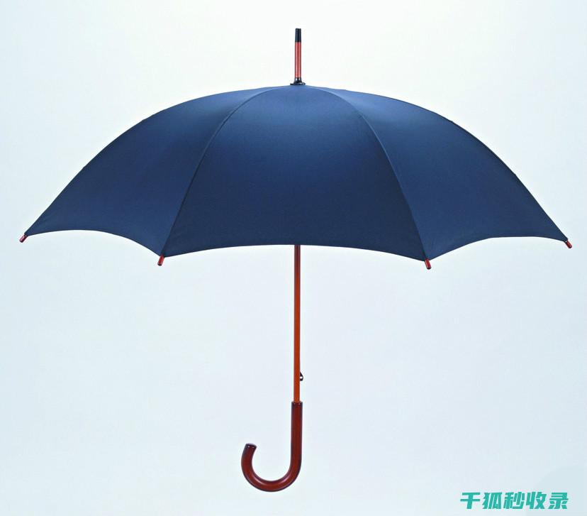 雨伞生锈烦恼？掌握这些小妙招轻松应对 (雨伞生锈烦恼图片大全)