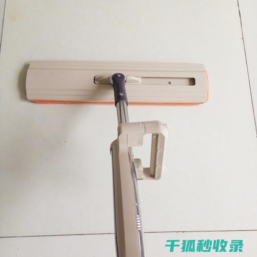 拖把除味：这些方法你真的应该试试 (拖把去除异味)