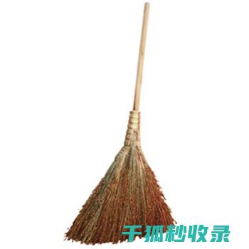 扫帚清洁全解析：从表面污垢到内部清洁 (扫帚清洁全解图)