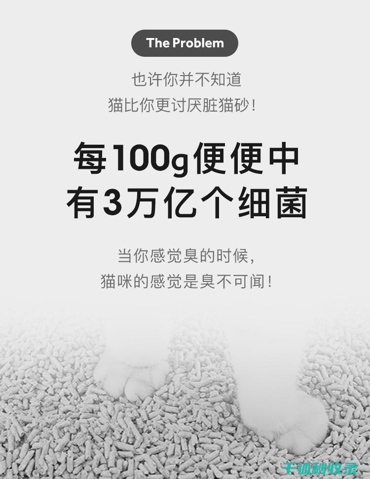 猫砂除臭误区：避免常见的错误，迈向成功之路 (猫砂除臭误区分析)