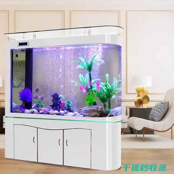 鱼缸清洁频率：何时该更换底砂过滤棉 (鱼缸清洁频率是多少)