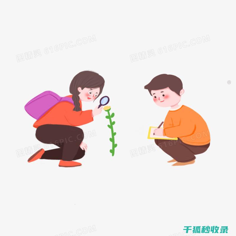 探索防雨后视镜：在恶劣天气下保持视野清晰的秘密武器 (防雨后视镜)