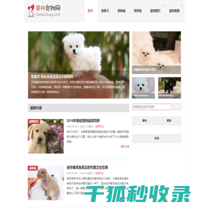 茶杯犬,茶杯猫,小香猪,迷你袖珍泰迪贵宾狗